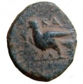 Ashkelon AE