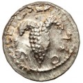 Bar Kochba Zuz struck over Vitellius Denarius
